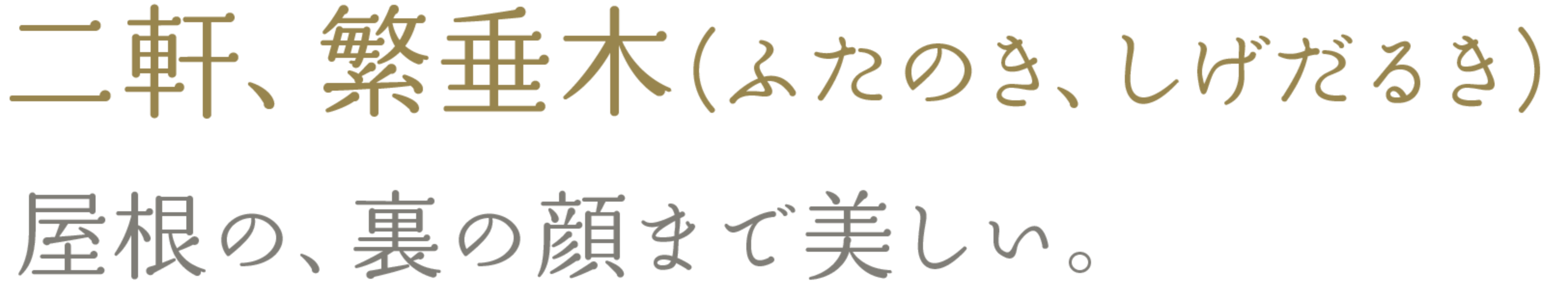 二軒、繁垂木（ふたのき、しげだるき）　屋根の、裏の顔まで美しい。