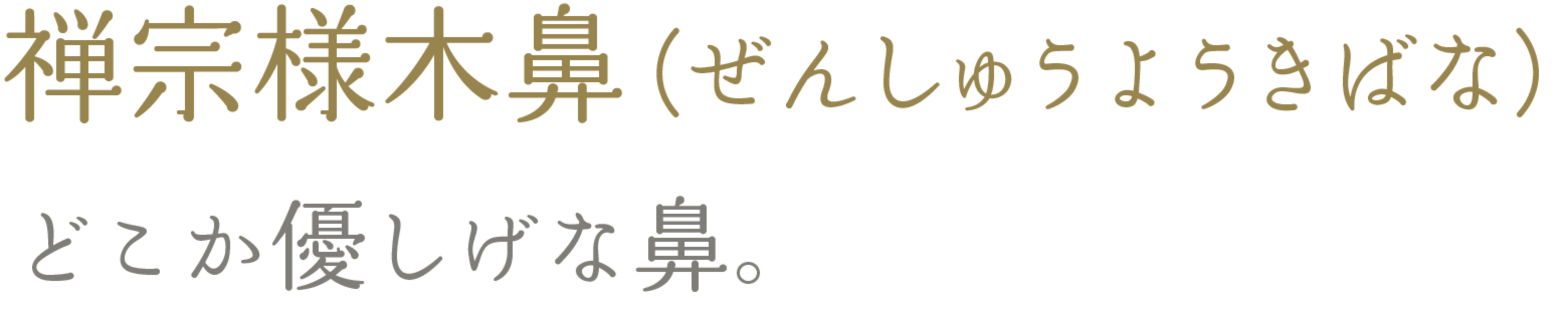 禅宗様木鼻（ぜんしゅうようきばな） どこか優し気な鼻。