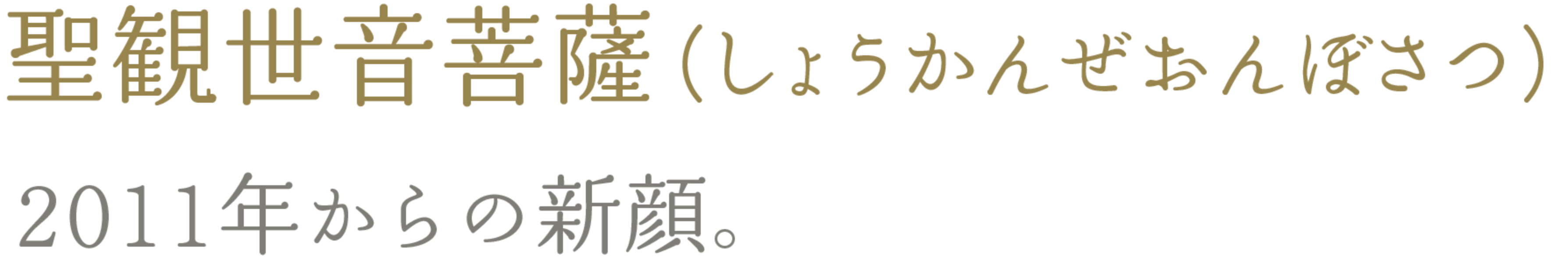 聖観世音菩薩（しょうかんぜおんぼさつ）2011年からの新顔。