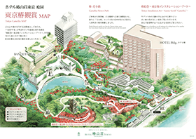 椿マップ