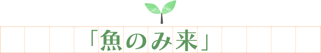 「魚のみ来」