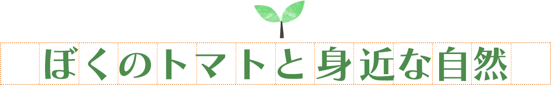 ぼくのトマトと身近な自然