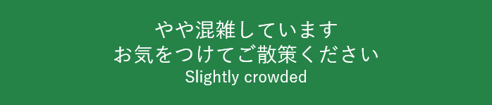 椿山荘㉒【庭園】