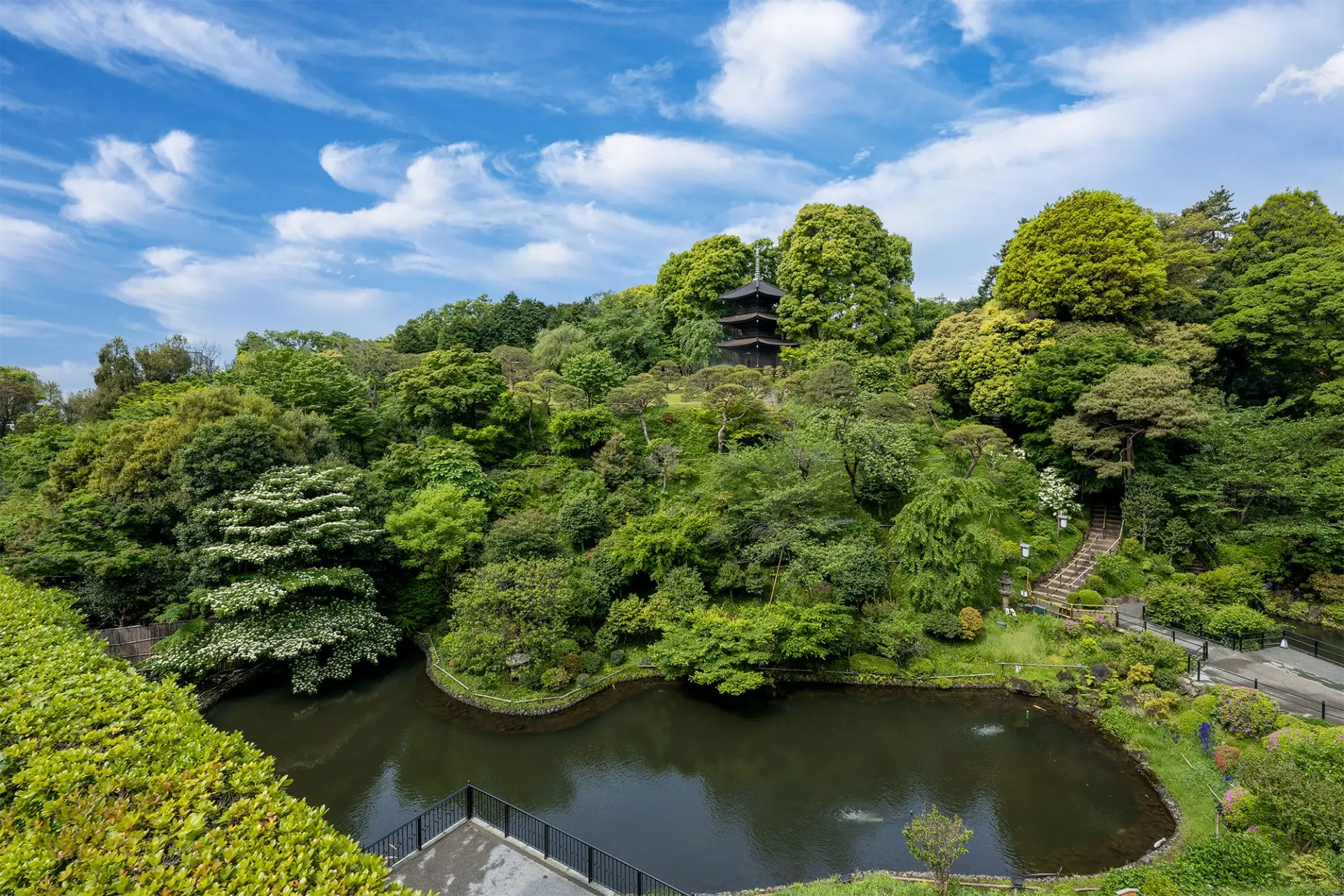　深山燕石  