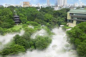 “涼”雲海