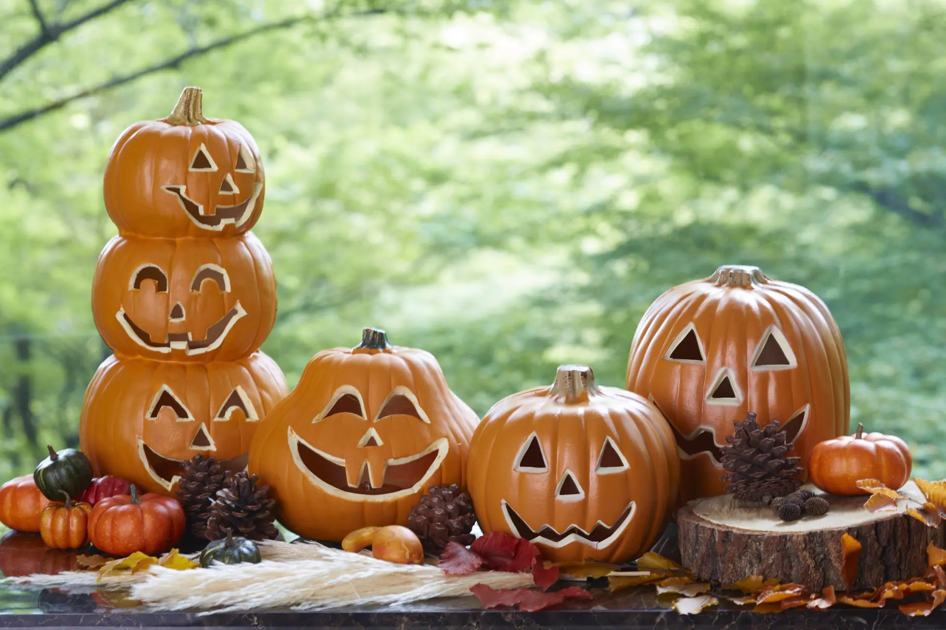THE FUJITA MEMBERS会員限定】親子で楽しむ ハロウィンスタンプラリー