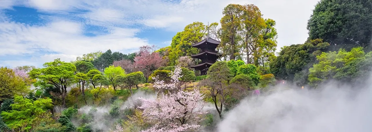 2026最新】ホテル椿山荘東京の桜～開花状況と見頃・散策のポイント 