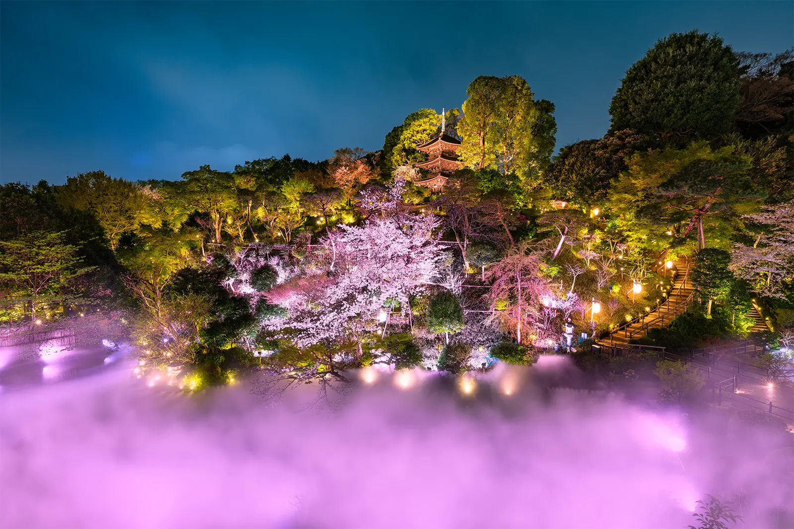 2026最新】ホテル椿山荘東京の桜～開花状況と見頃・散策のポイント
