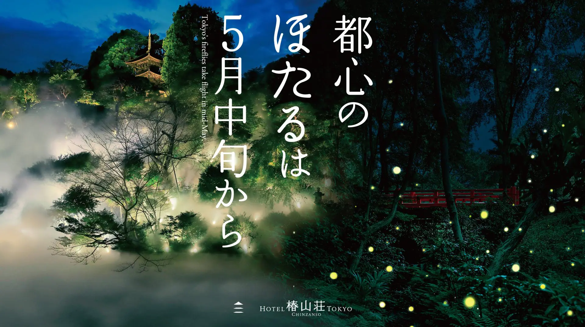 小田原市の小学生をご招待！ホテル椿山荘東京『ほたるの幼虫放流式』参加者募集「自然の美しさを次世代へ」 |  東京のホテルならホテル椿山荘東京。【公式サイト】