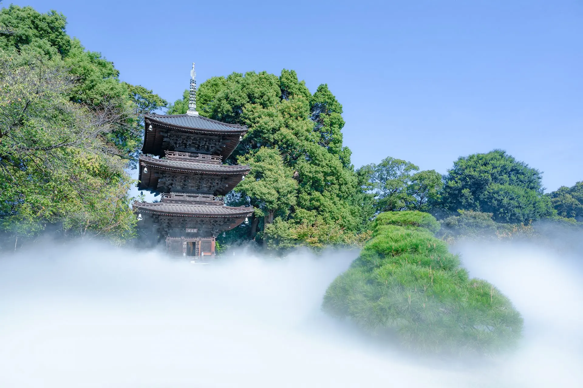 東京で訪れるべき文化財10選~歴史的建造物として知られる寺社 東京で訪れるべき文化財10選~歴史的建造物として知られる寺社