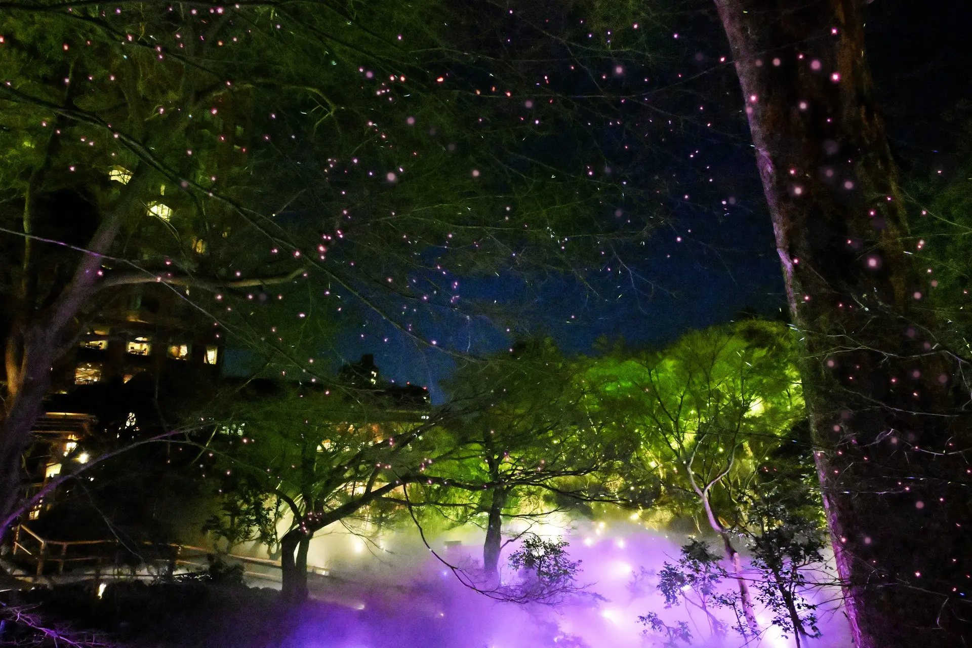 季節のおすすめ～椿・桜～ | 東京のホテルならホテル椿山荘東京